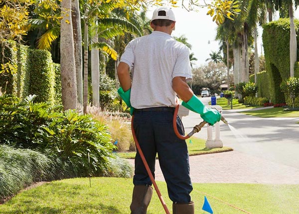About High Bridge WI Pest Control Pros